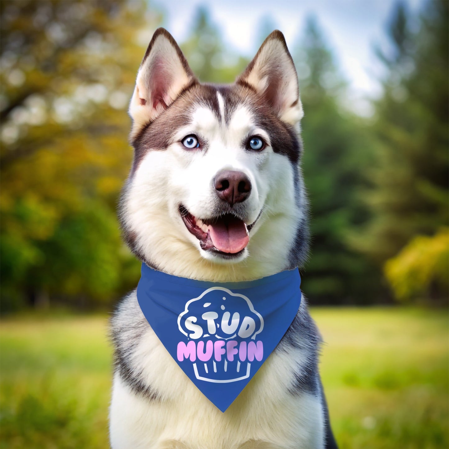 Stud Muffin Bandana - The Pawsitive Initiative