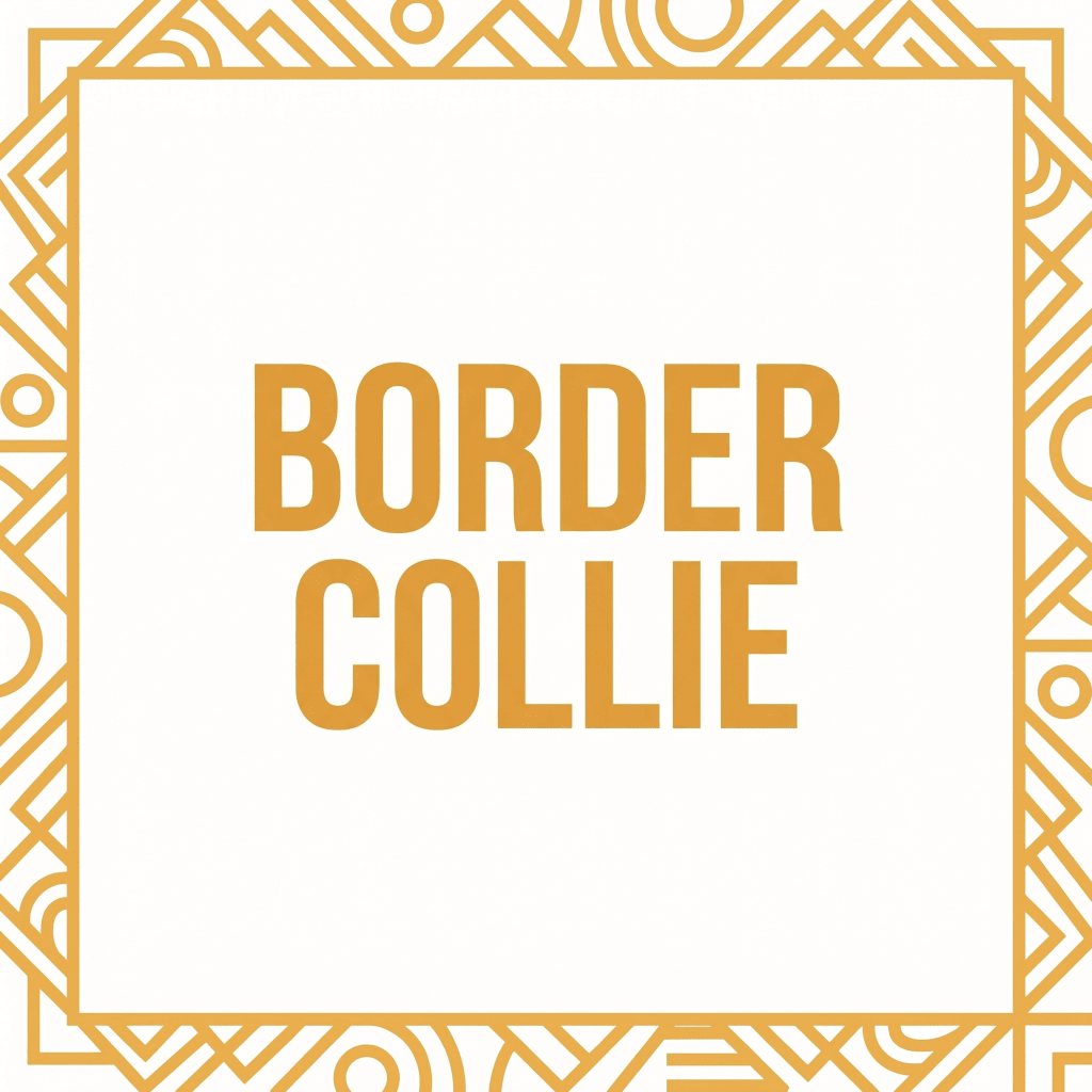 Border Collie T-shirts - The Pawsitive Initiative