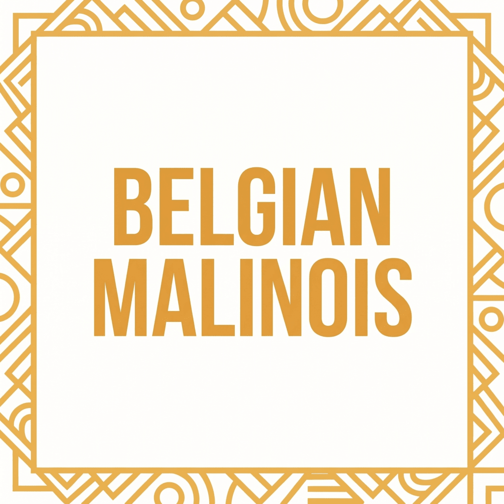 Belgian Malinois T-Shirts - The Pawsitive Initiative