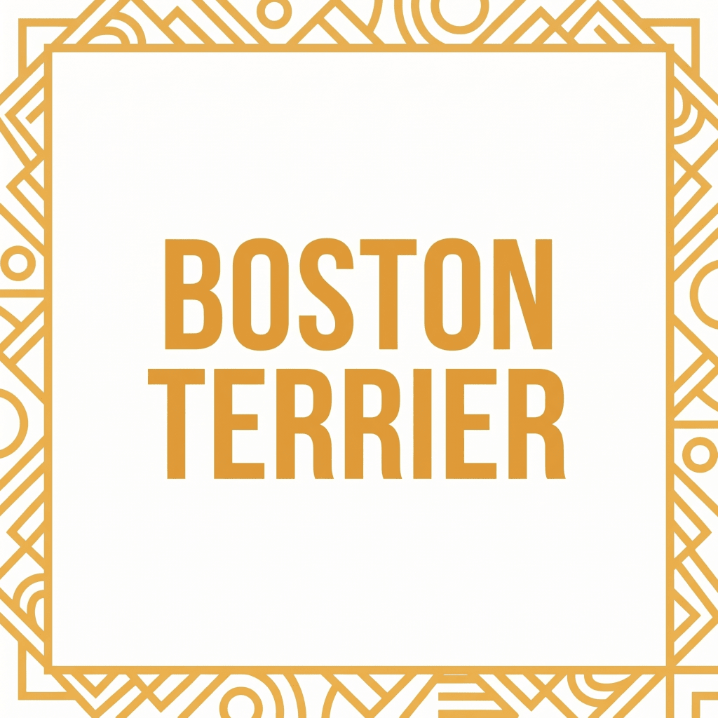 Boston Terrier T-shirts - The Pawsitive Initiative