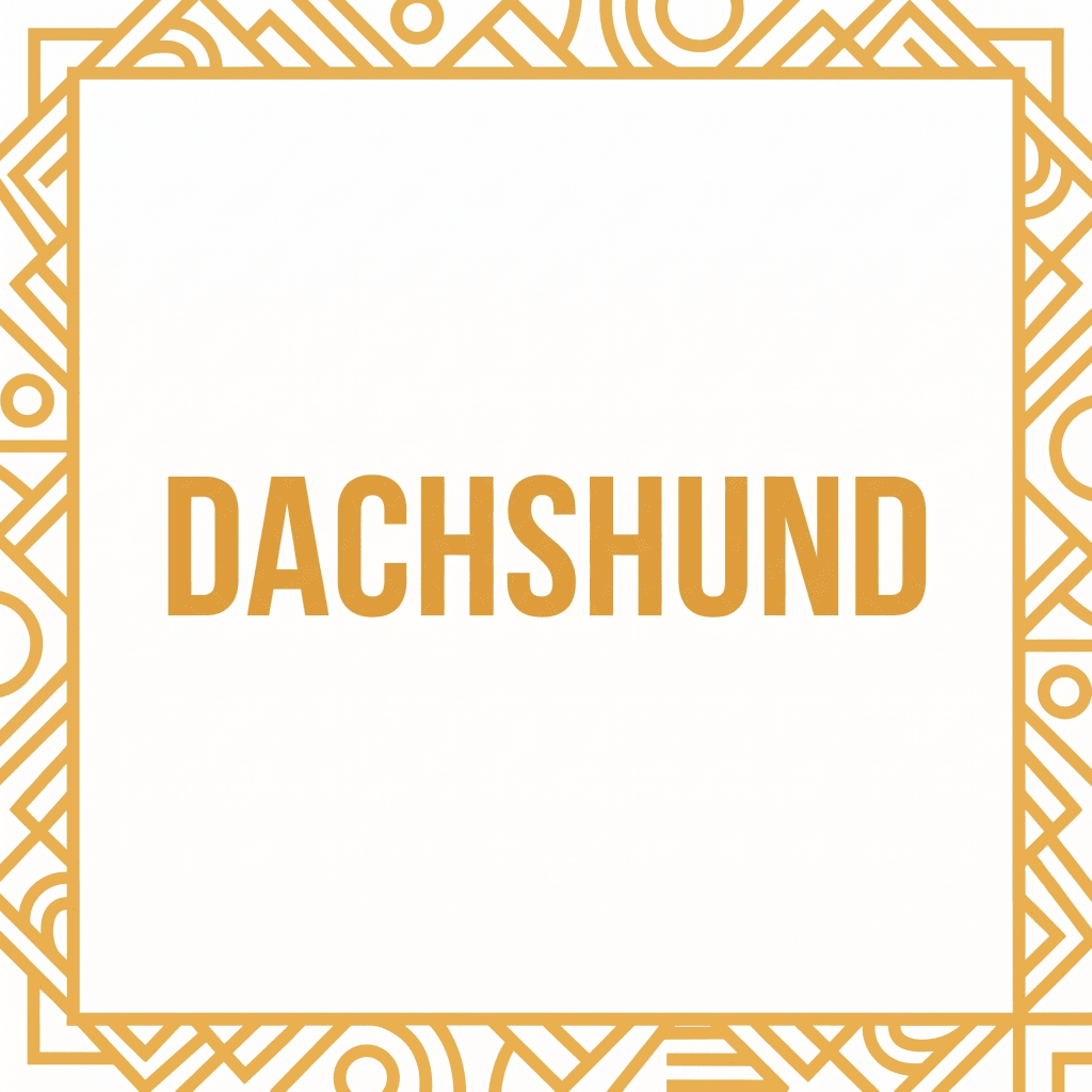 Dachshund T-Shirts - The Pawsitive Initiative