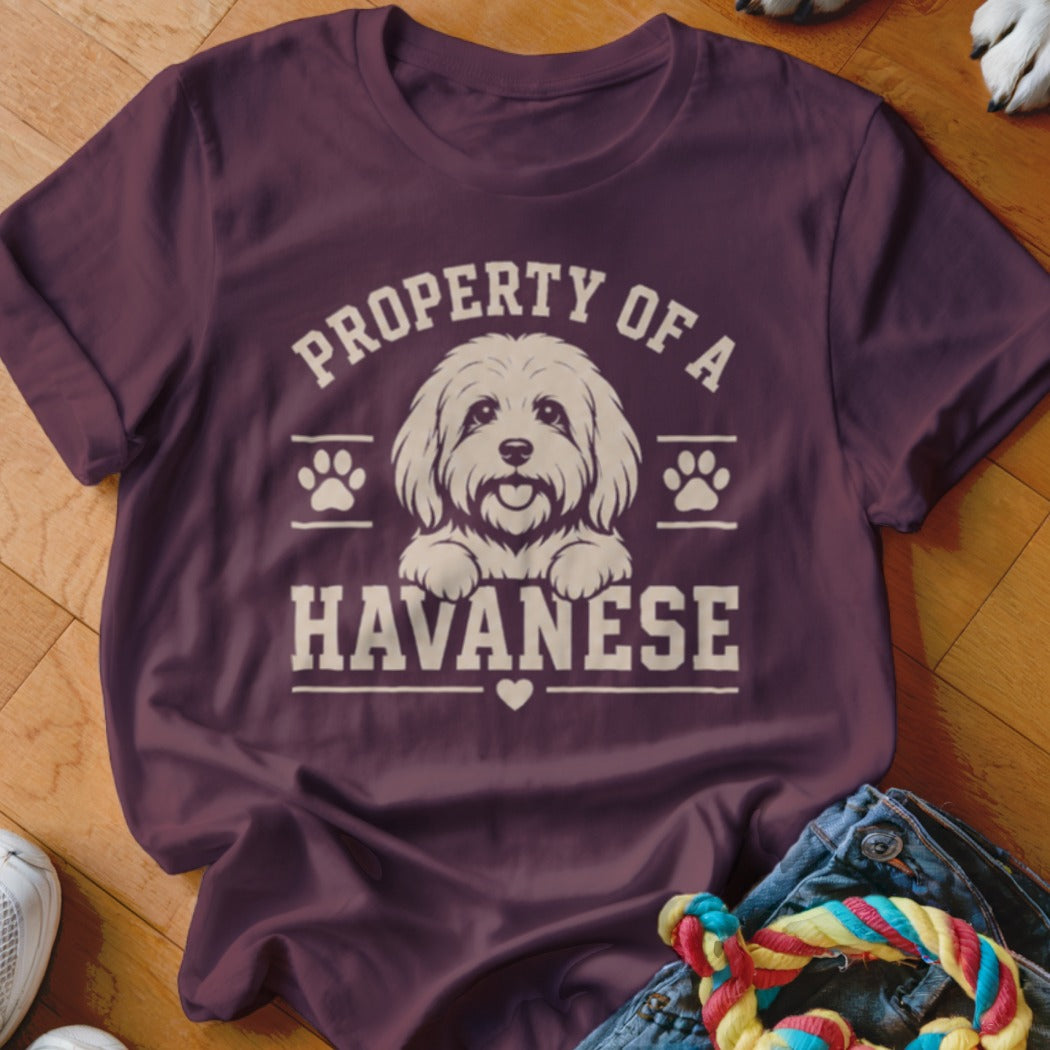 Maroon t-shirt with "PROPERTY OF A HAVANESE" text and a dog illustration.