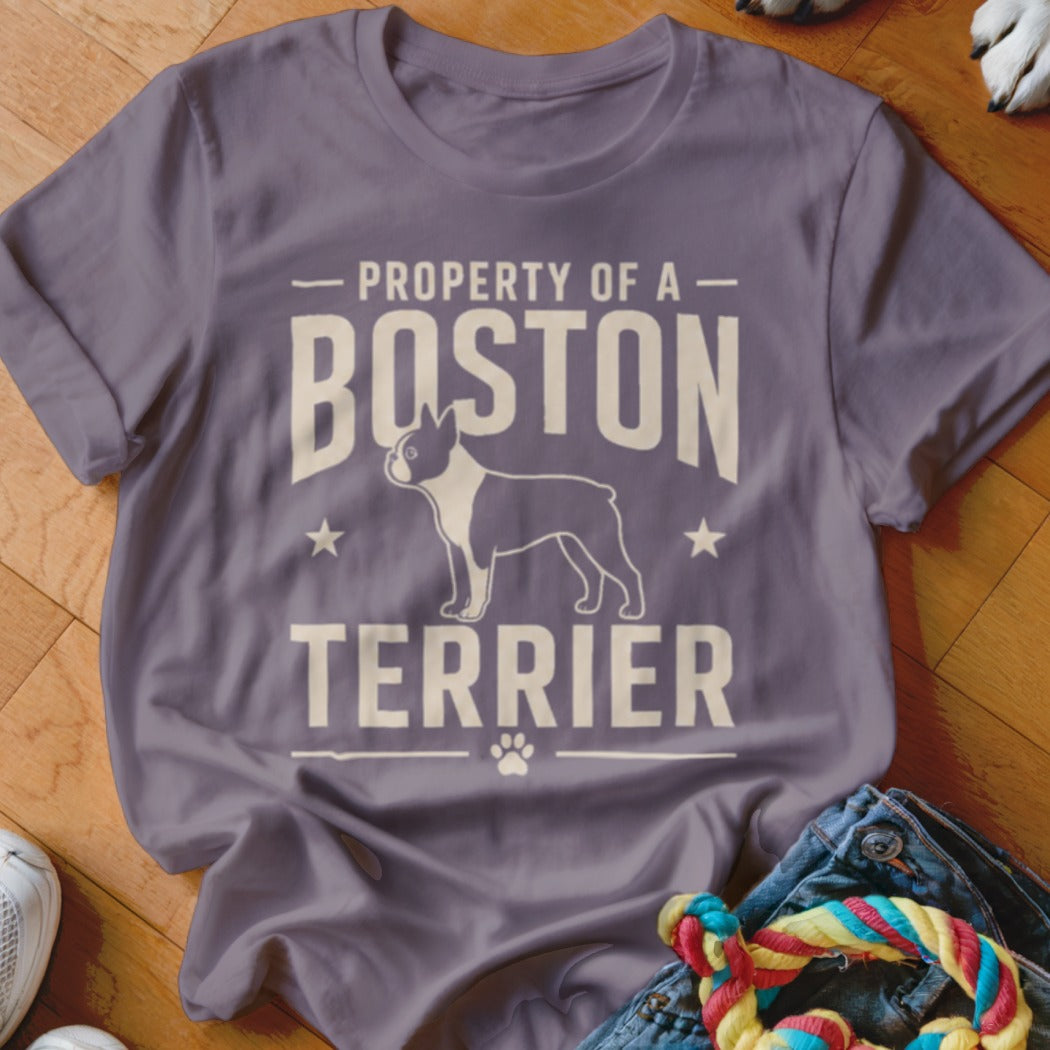 T-shirt with "Property of a Boston Terrier" text and dog outline.