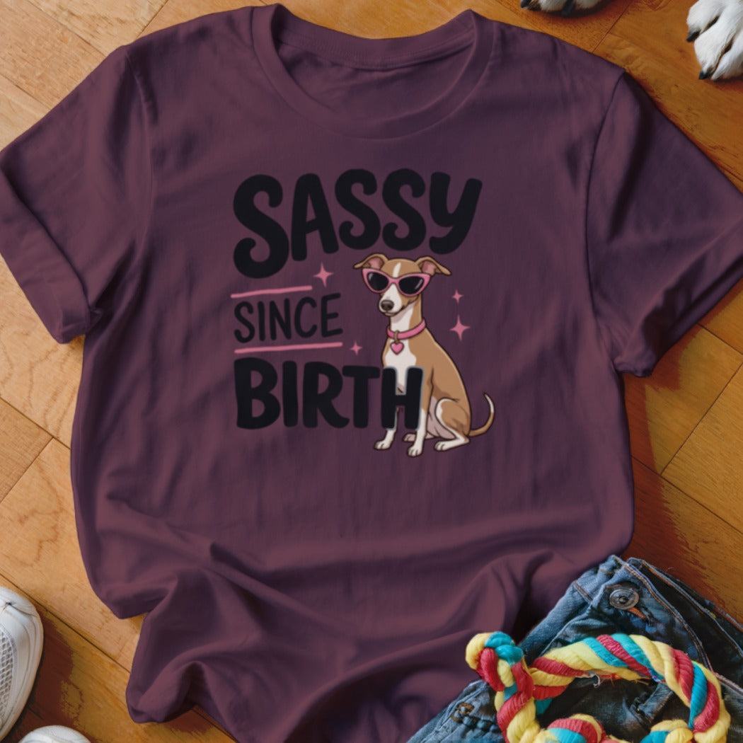 Maroon t-shirt with dog wearing sunglasses and "Sassy Since Birth" text.