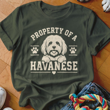 Dark green t-shirt with "Property of a Havanese" text and a dog illustration.