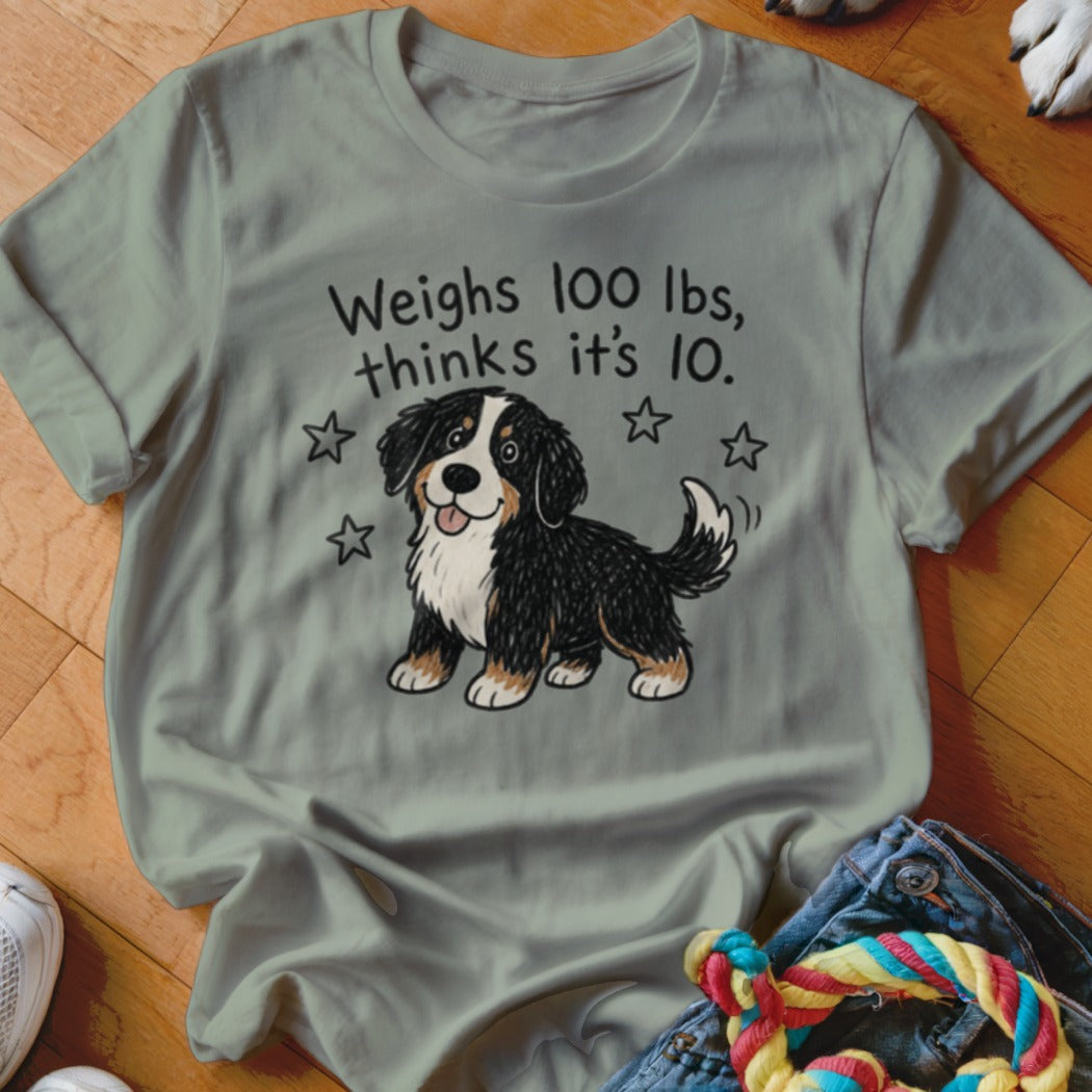 Bernese Mountain Dog graphic with text "Weighs 100 lbs, thinks it's 10."