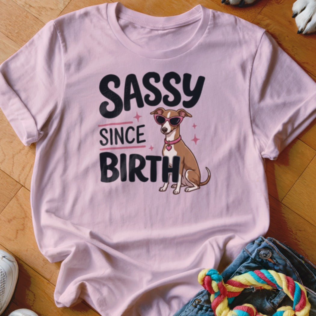 Pink t-shirt with a dog wearing sunglasses and the text "Sassy Since Birth".
