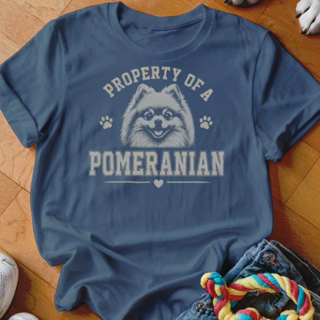 Blue t-shirt with "PROPERTY OF A POMERANIAN" text and a Pomeranian dog graphic.