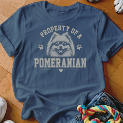 Blue t-shirt with "PROPERTY OF A POMERANIAN" text and a Pomeranian dog graphic.