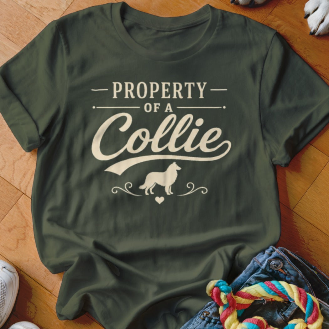 Green t-shirt with "PROPERTY OF A COLLIE" text and collie dog silhouette.