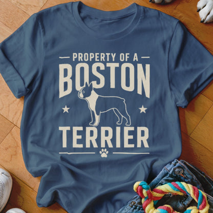 Blue t-shirt with white text "Property of a Boston Terrier" and dog silhouette.