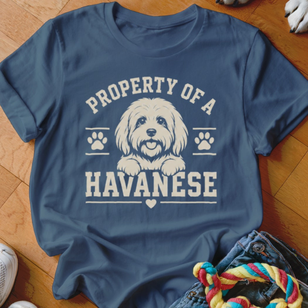 "Property of a Havanese" graphic on a blue t-shirt with a Havanese dog illustration.