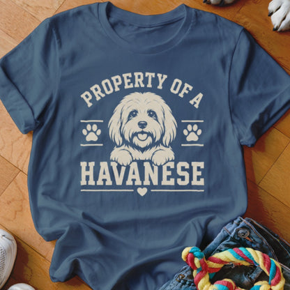 "Property of a Havanese" graphic on a blue t-shirt with a Havanese dog illustration.