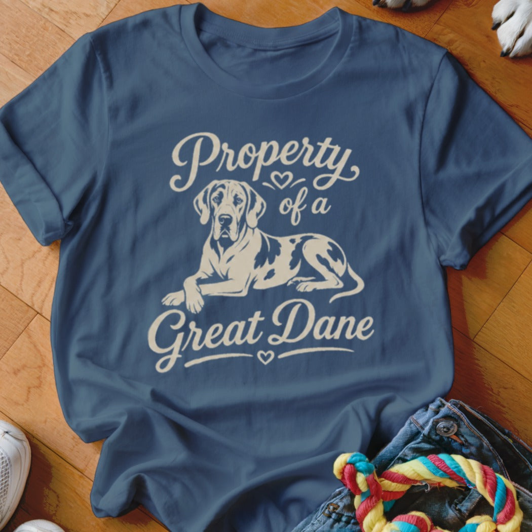 Blue t-shirt with "Property of a Great Dane" text and illustration of a Great Dane dog.