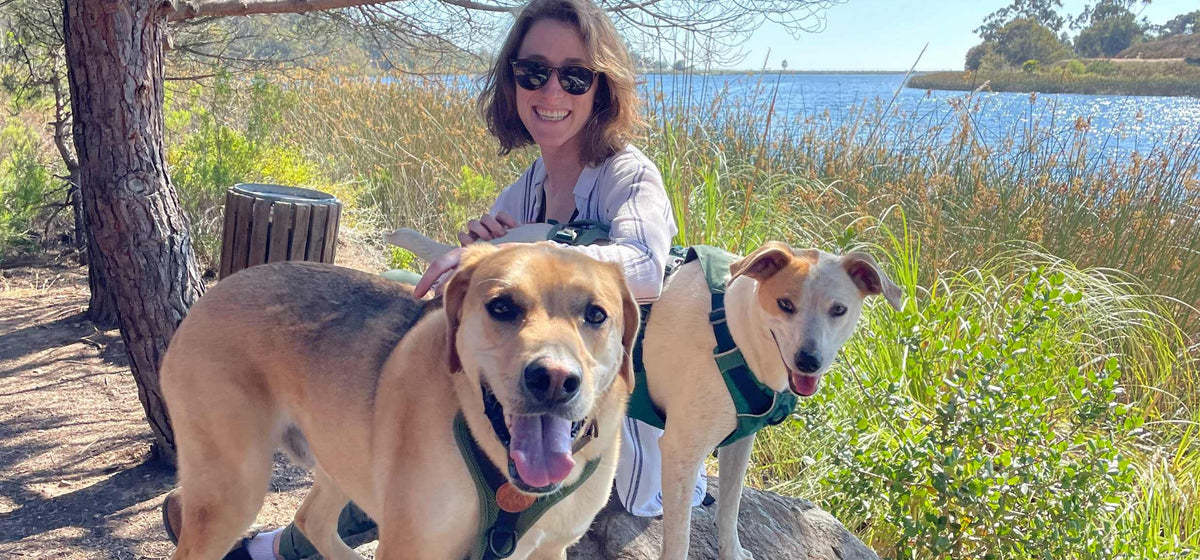 The Pawsitive Initiative