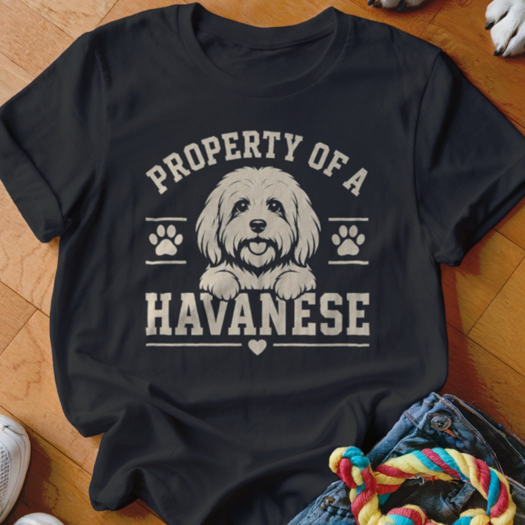 Black t-shirt with "Property of a Havanese" text and a Havanese dog illustration.