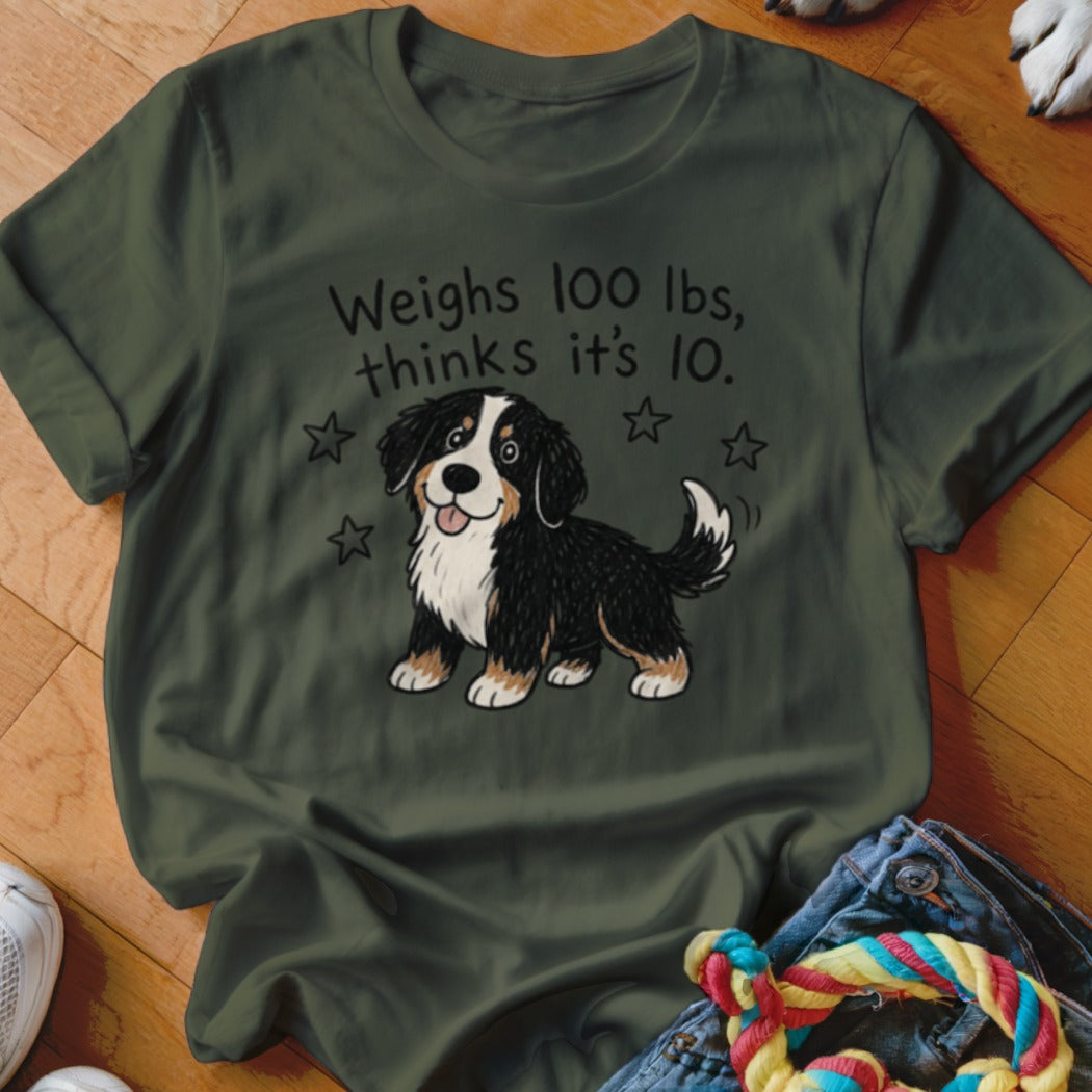 Bernese Mountain Dog on t-shirt with text "Weighs 100 lbs, thinks it's 10."