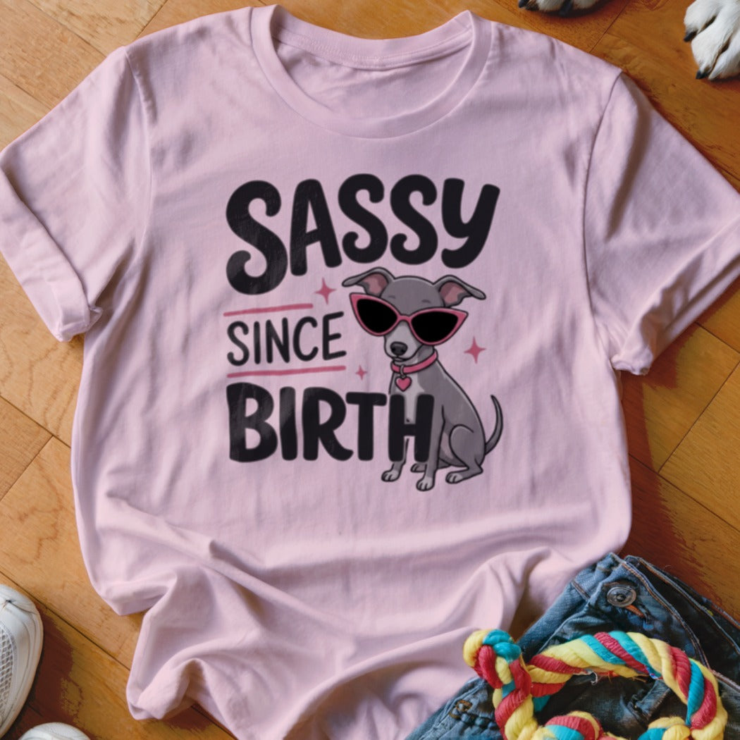 Pink t-shirt with a graphic of a dog wearing sunglasses and the text "SASSY SINCE BIRTH".