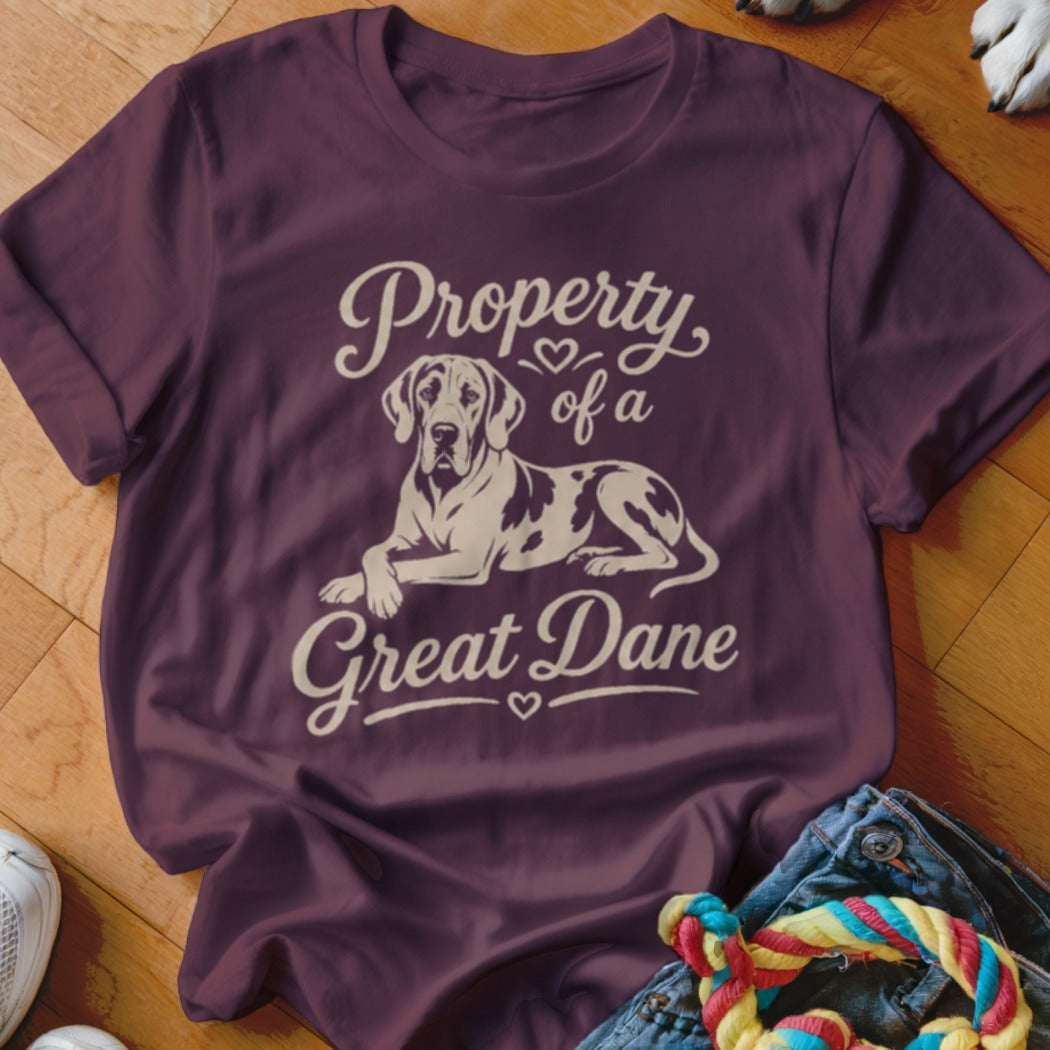 Maroon t-shirt with "Property of a Great Dane" text and dog illustration.