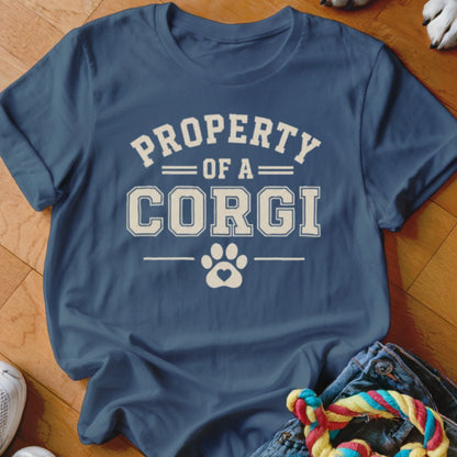 Blue t-shirt with "PROPERTY OF A CORGI" and a paw print graphic.