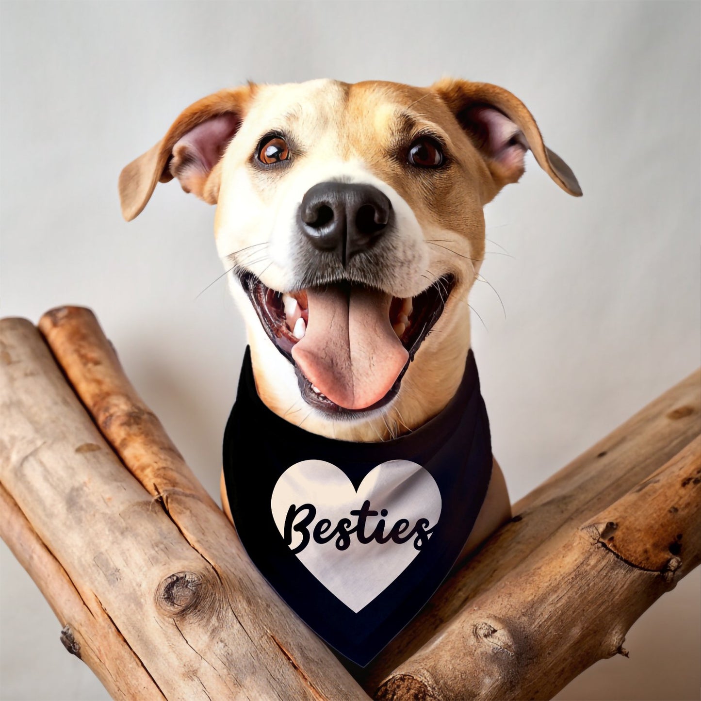 Besties Bandana - The Pawsitive Initiative