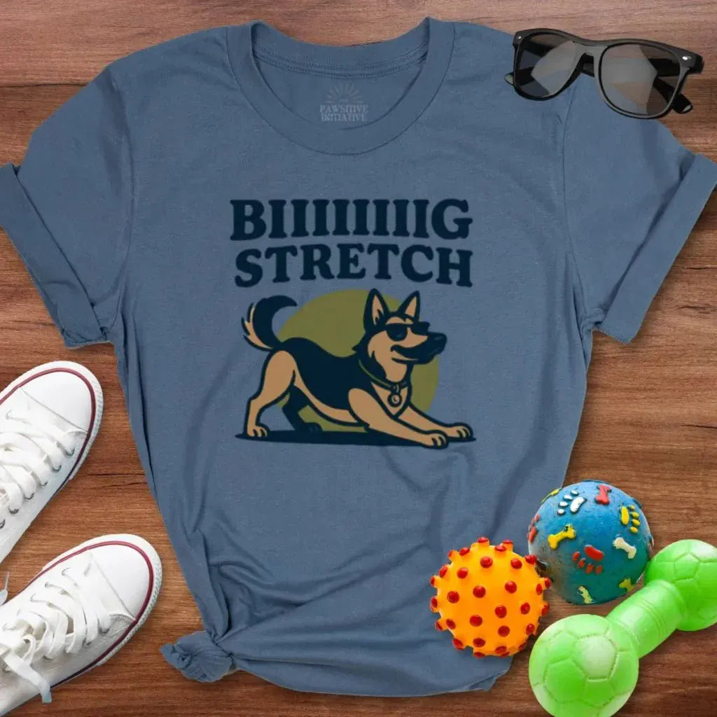 Biiiiig Stretch Shirt - The Pawsitive Initiative
