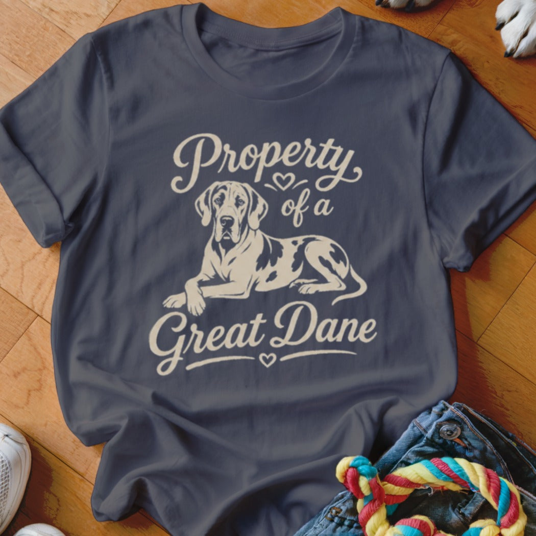Dark gray t-shirt with a Great Dane graphic and "Property of a Great Dane" text.