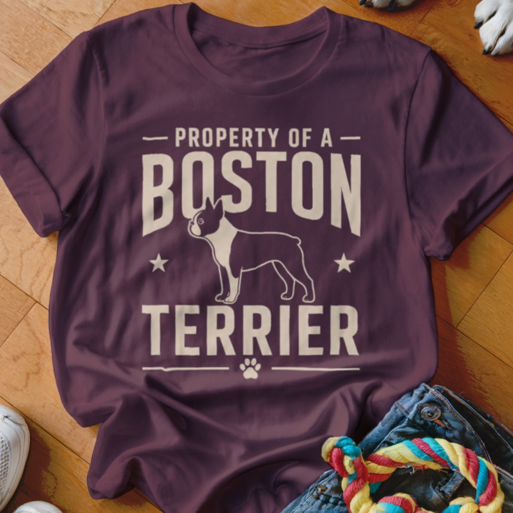 Maroon t-shirt with "Property of a Boston Terrier" text and dog graphic.