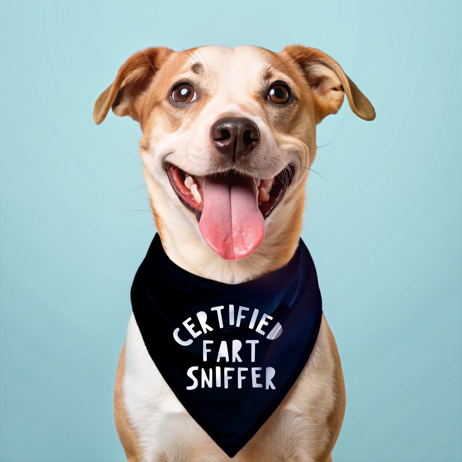 Certified Fart Sniffer Bandana - The Pawsitive Initiative