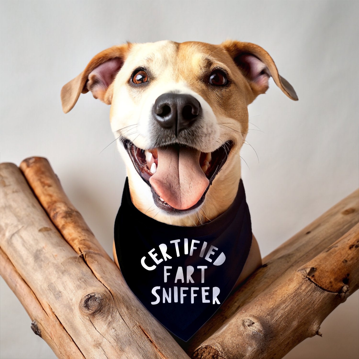 Certified Fart Sniffer Bandana - The Pawsitive Initiative