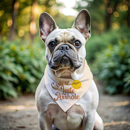 Cutest Little Asshole Bandana - The Pawsitive Initiative