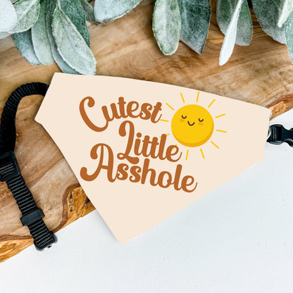 Cutest Little Asshole Bandana - The Pawsitive Initiative