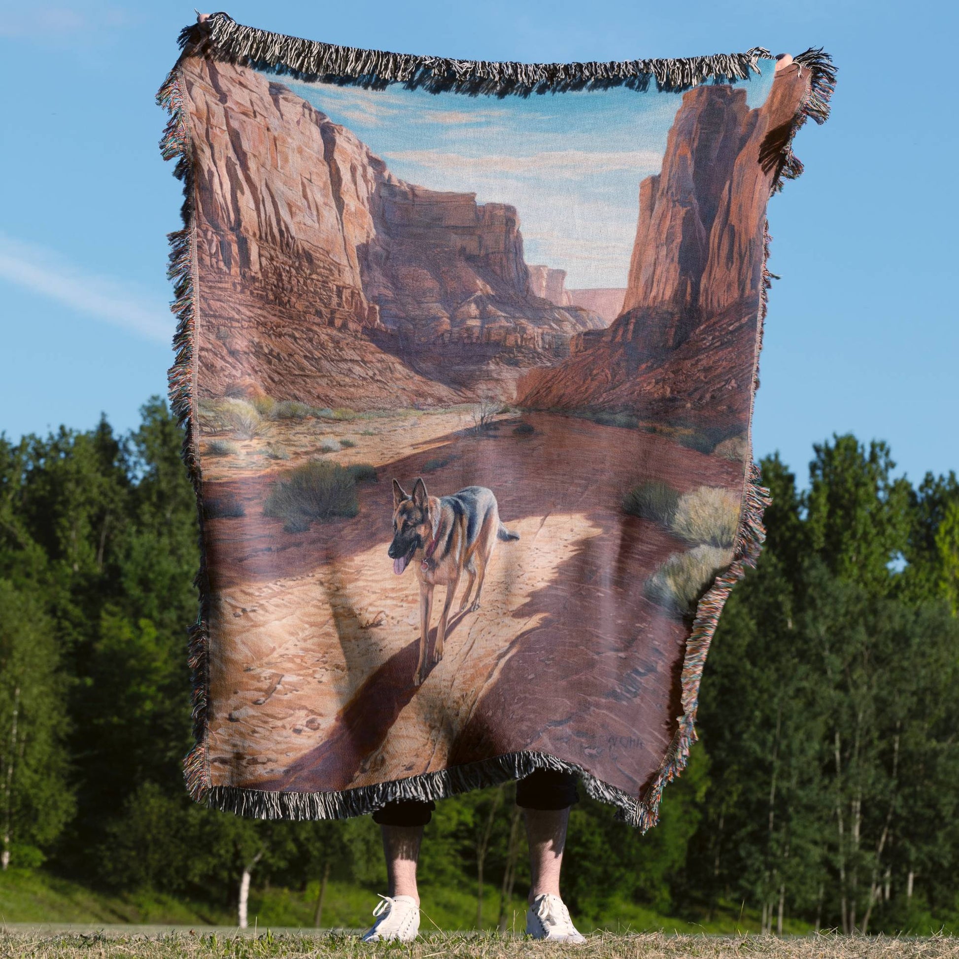 Desert Canyon Blanket - The Pawsitive Initiative