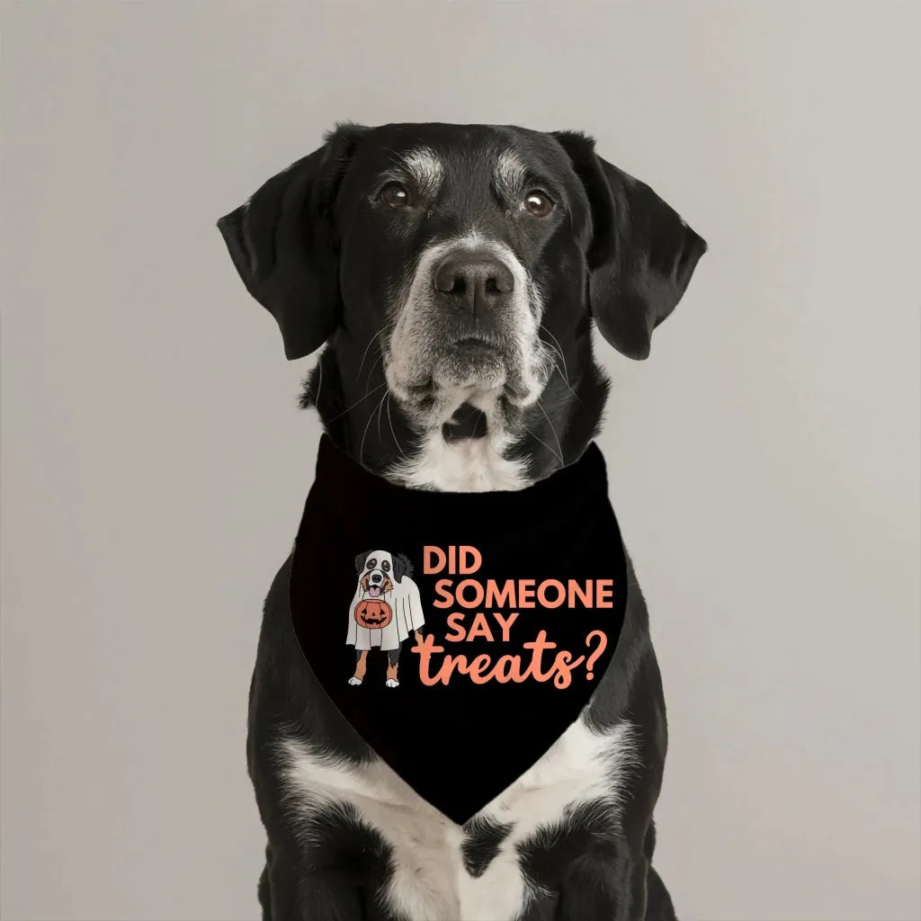 Did Someone Say Treats Bandana - The Pawsitive Initiative