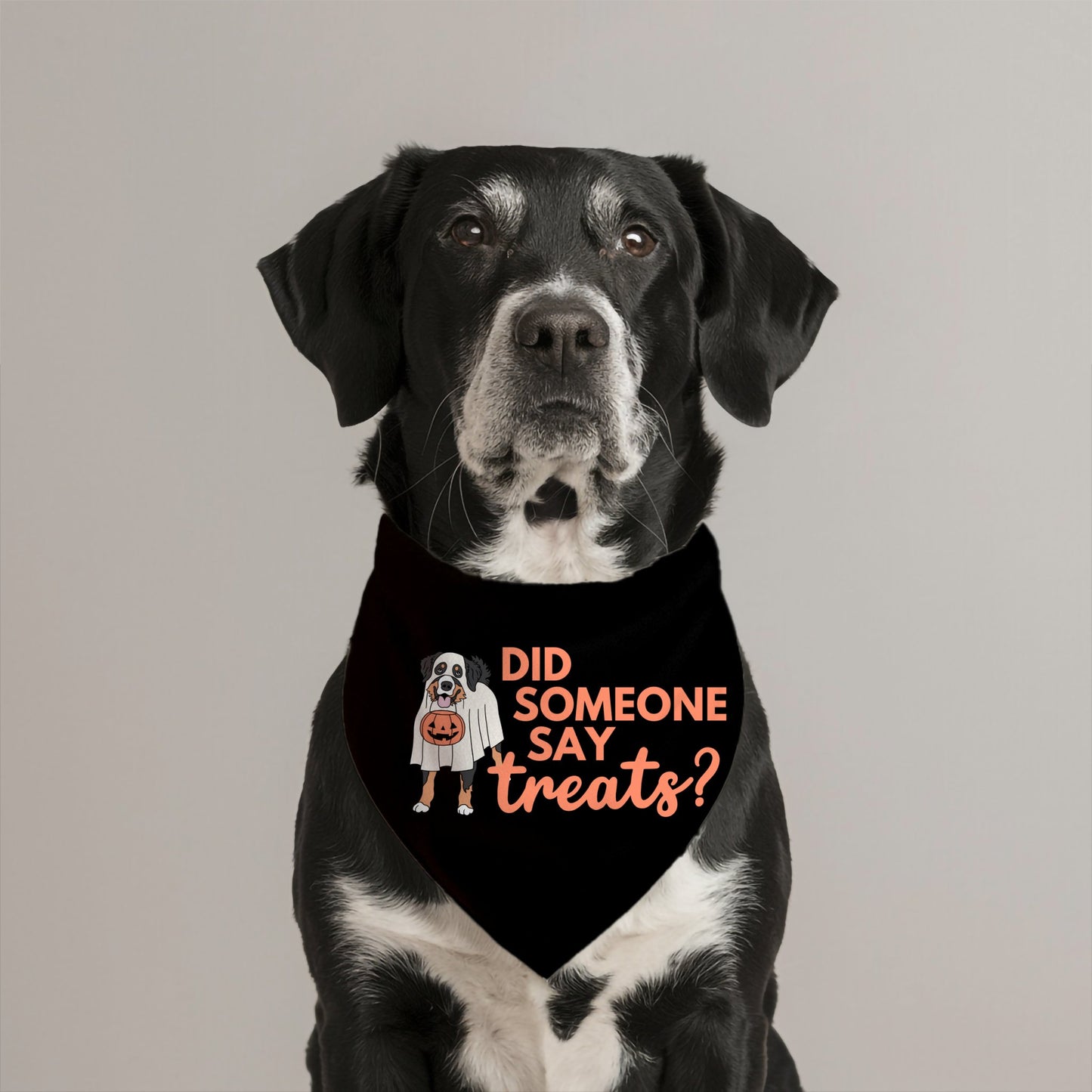 Did Someone Say Treats Bandana - The Pawsitive Initiative