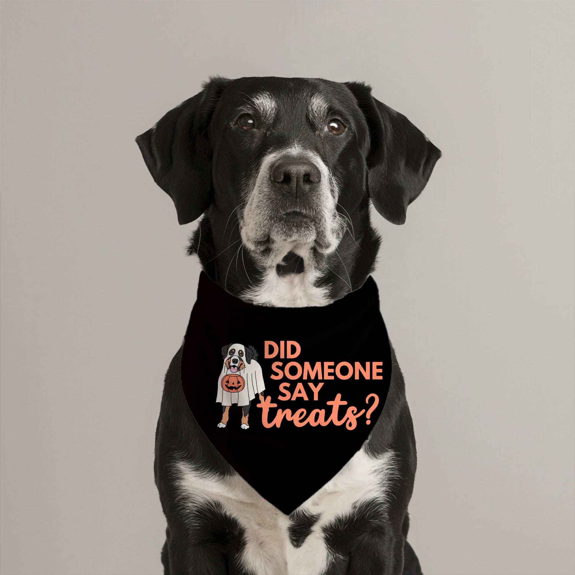 Did Someone Say Treats Bandana - The Pawsitive Initiative