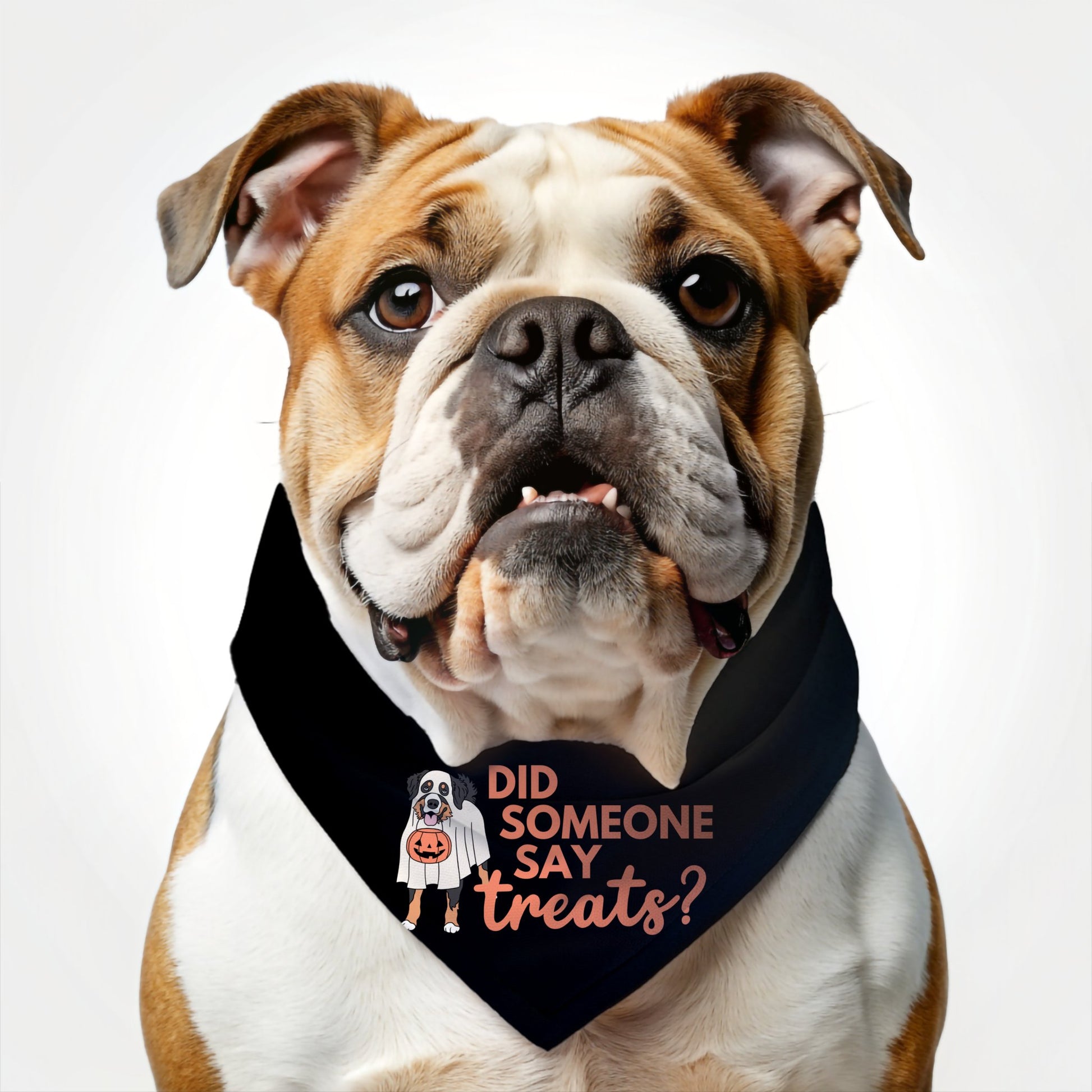 Did Someone Say Treats Bandana - The Pawsitive Initiative