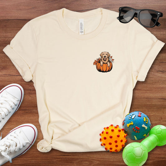 Golden Retriever in a Pumpkin Shirt - The Pawsitive Initiative