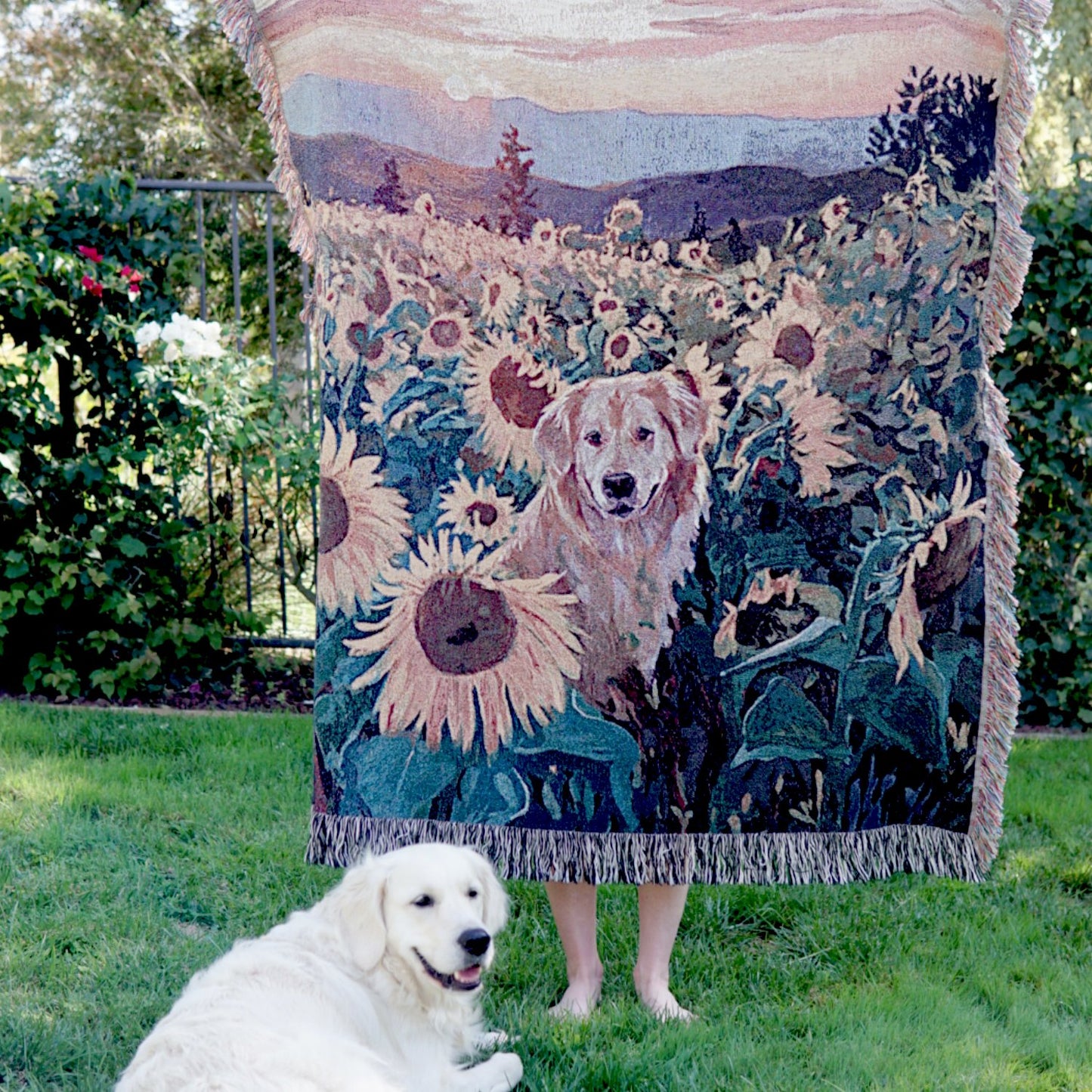 Golden Retriever in a Sunflower Field Blanket - The Pawsitive Initiative