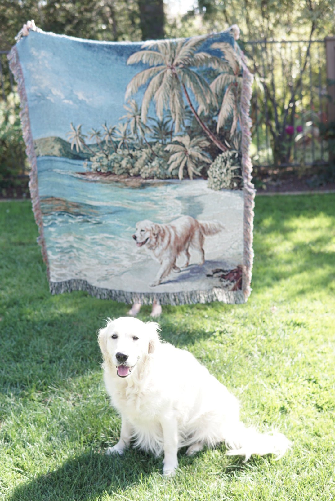 Golden Retriever on the Beach Blanket - The Pawsitive Initiative