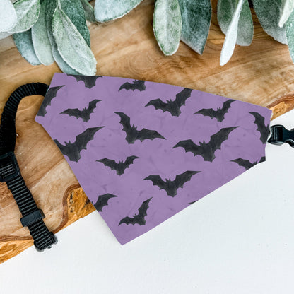 Halloween Bat Bandana - The Pawsitive Initiative