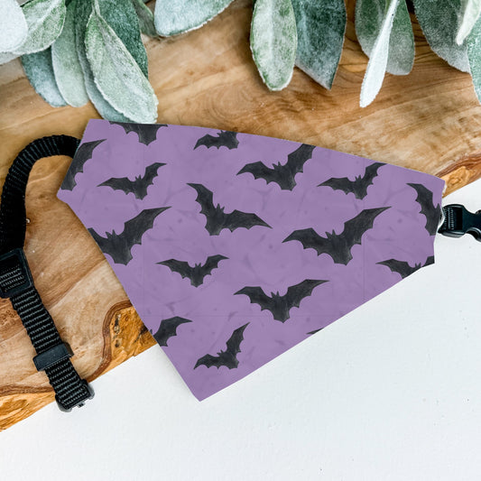 Halloween Bat Bandana - The Pawsitive Initiative
