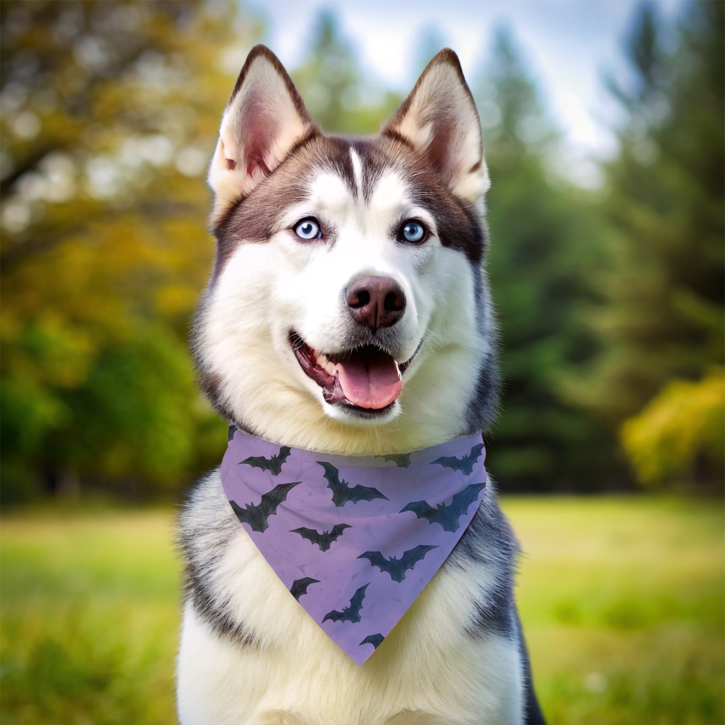 Halloween Bat Bandana - The Pawsitive Initiative
