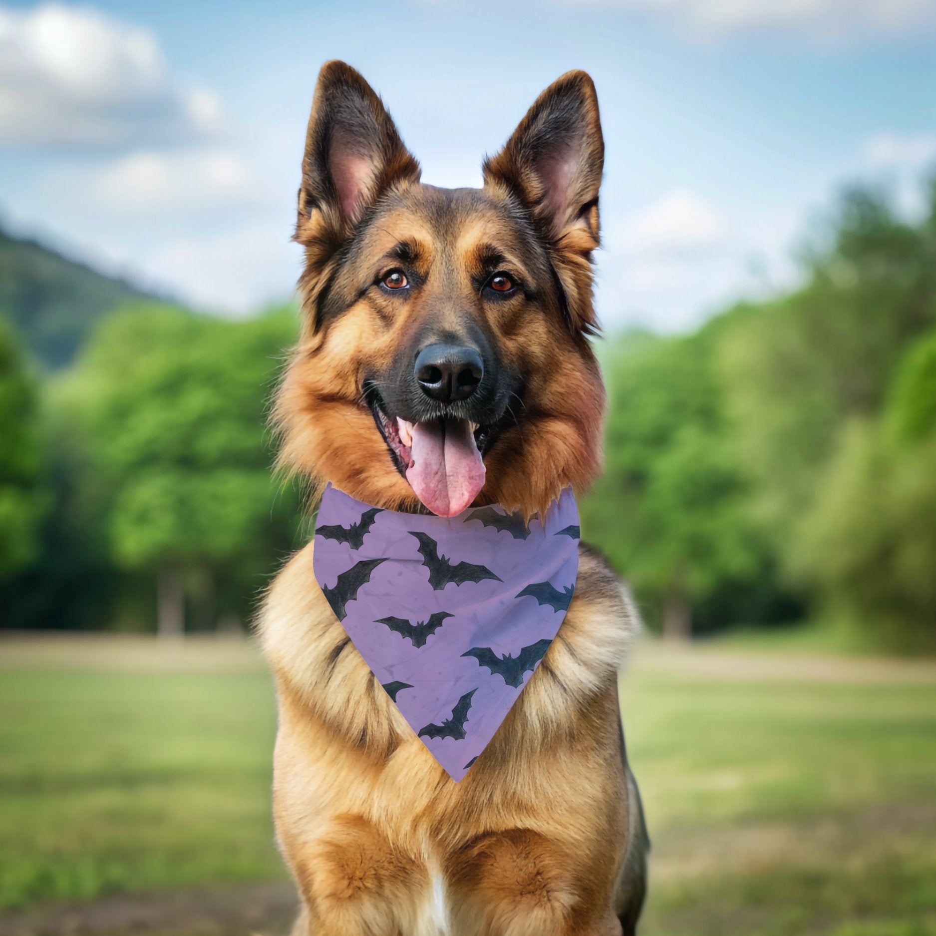 Halloween Bat Bandana - The Pawsitive Initiative