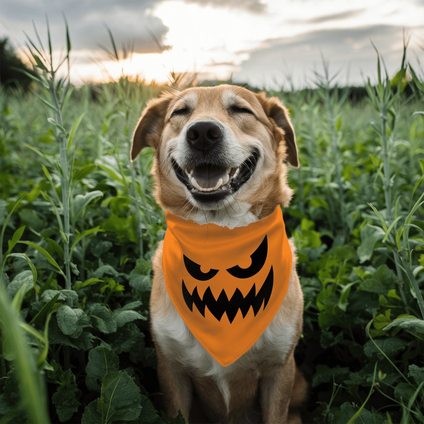Halloween Pumpkin Bandana - The Pawsitive Initiative