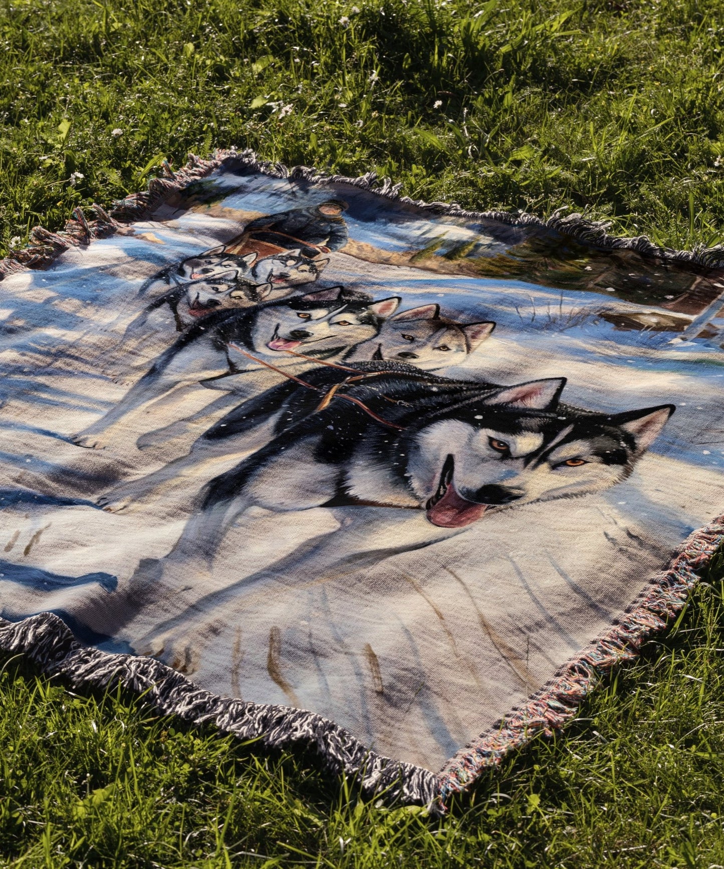 Husky Sled Team Blanket - The Pawsitive Initiative