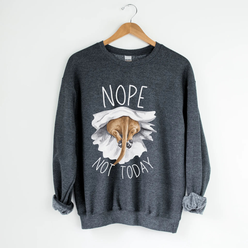 Nope Not Today Sweatshirt - The Pawsitive Initiative