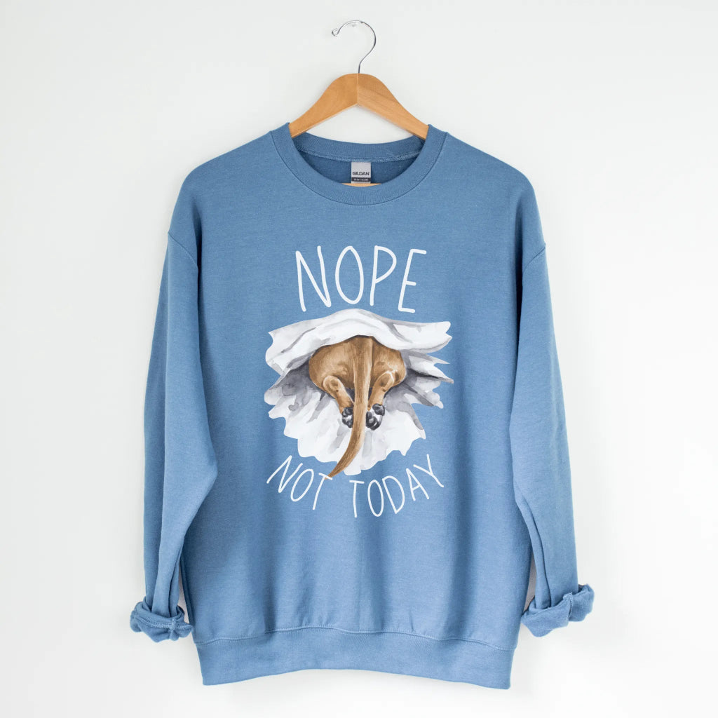 Nope Not Today Sweatshirt - The Pawsitive Initiative