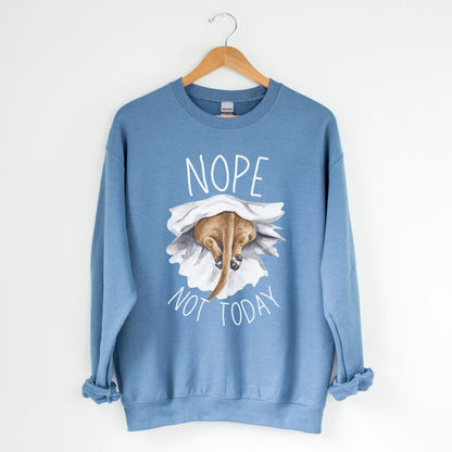 Nope Not Today Sweatshirt - The Pawsitive Initiative