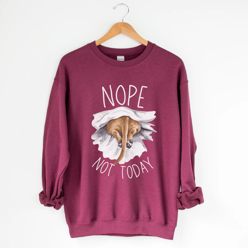 Nope Not Today Sweatshirt - The Pawsitive Initiative